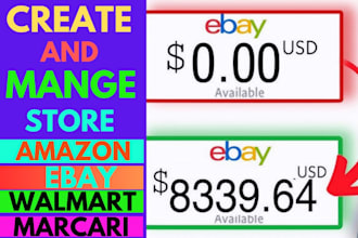 manage and create ebay amazon shopify and walmart stores