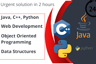 be java dev for java coding java programming assignments