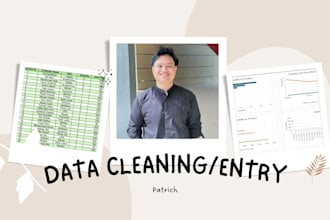 clean, organize, and automate your excel spreadsheets in 24h