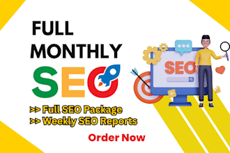 provide all in one monthly seo service for top ranking