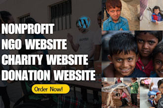 build charity, non profit website, donation website for 501c3, non profit