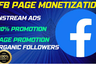 do fb marketing, fb ads campaign, fb page monetization, instagram ads services
