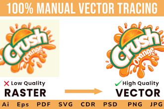vectorize your raster image or logo professionally
