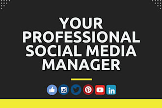 be your social media expert and content creator