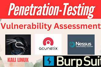 vulnerability and penetration testing on your web application