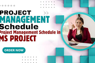 do project schedule through  ms project