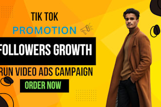 promote tiktok video ads to grow your business