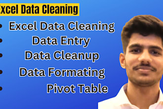 clean, format, merge, and split excel data with custom dashboard