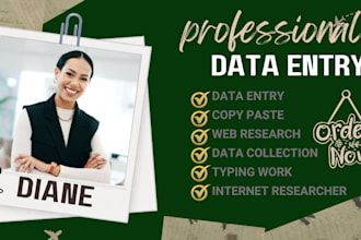 do excel data entry copy paste web research web scraping data collection typing