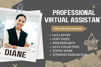 your VA for data entry copy paste web research data collection lead generation