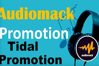 do organic music SEO for audiomack music promotion, audiomack album promotion