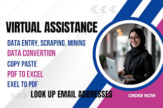 lookup email addresses and phone numbers with data entry services