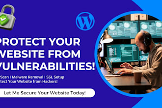 wordpress website security audit