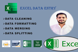 clean, excel data clean, format, merge, split excel data, work in 24 hours