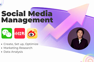 manage your social media account and promote your business in china