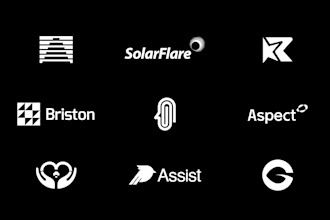 design professional logo design for startup or business