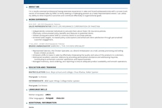 write a professional CV and cover letter to get you hired