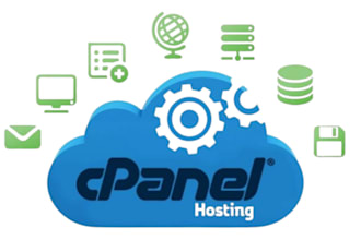 do full web hosting setup, reseller business with setup whm cpanel or whmcs