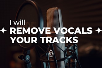 professionally remove vocals to create instrumentals