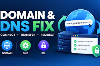 connect domain, transfer domain, redirect domain and fix dns