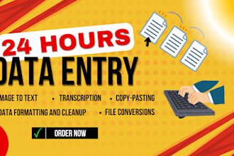 provide accurate and efficient data entry services