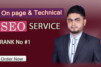 provide professional on page SEO service with audit