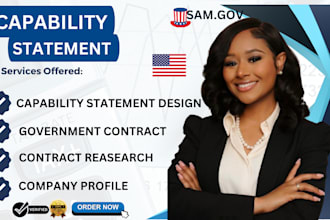 design a professional government capability statement, capability statement