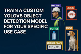develop face detection object detection segmentation model using yolo ai