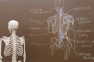 be teaching you anatomy to depth
