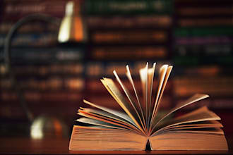 do sociology, gender studies, and human right projects