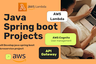 provide you java spring boot project