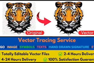 do vector trace, convert, redraw, recreate logo or image