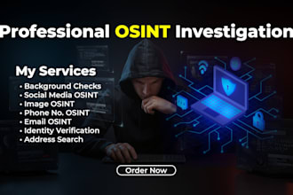 do osint, background checks, phone number, email, image, social media osint