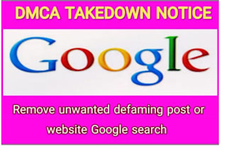 takedown harassing defaming report to reddit ig google fb yt tiktok x by dmca