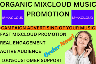 do best mixcloud music promotion by setting up campaign advertisement