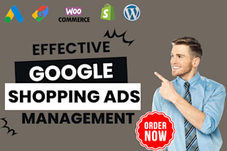 manage and setup google shopping ads, product listing ads for ecommerce store