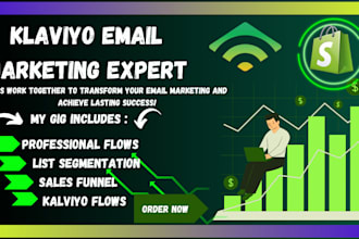 design klaviyo email flows  and klaviyo email template for ecommerce