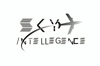 make traditional sky intelligence logo