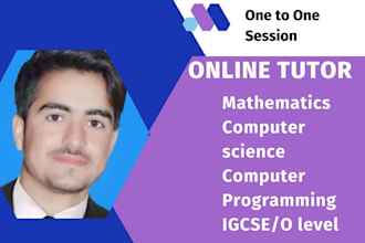 be online,computer science and mathematics tutor