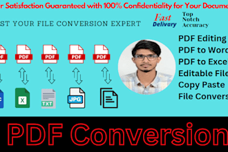 pdf conversion,copy paste or doc,data entry,PDF to excel