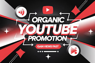 do organic youtube promotion for your video to grow your views