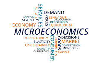 research economics, microeconomics, accounting, statistics analysis