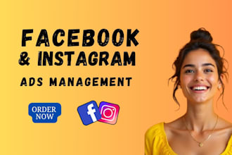 run high performing facebook ads and instagram ads for sales and leads