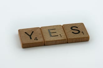 write a tender submission or fundraising grant