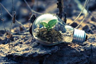 produce high quality sustainability, csr and esg strategies and reports