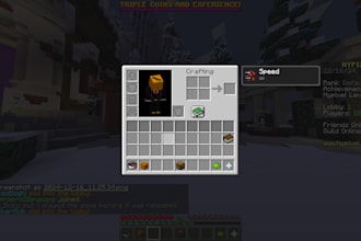 design and create a minecraft skin for you
