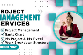 do project management tasks with gantt charts, wbs in ms word or excel