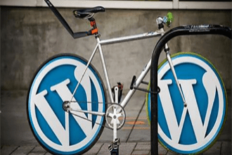 install wordpress theme, setup demo and customization