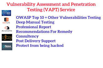 do penetration test on your website and provide detail report