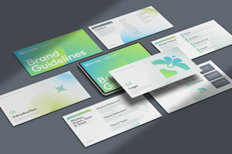 create brand guidelines and a complete visual identity with logo